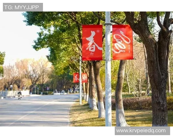 南京乒乓球队的崛起之路：亚运会背后的奋斗与荣耀